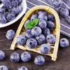 云南国产蓝莓125g/盒【大果-单果18mm】2盒装【BH】【OZR】 商品缩略图0