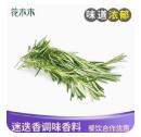 煎牛排调味香料/250g*包 商品图0