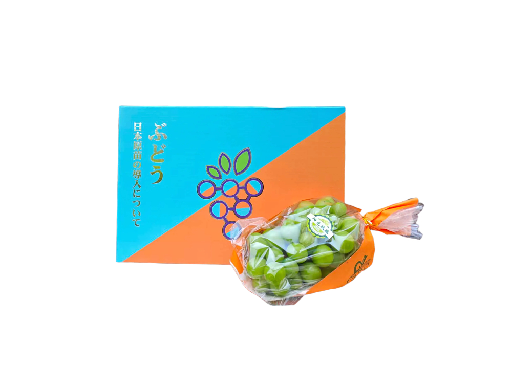 阳光玫瑰青提礼盒