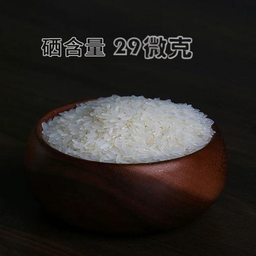 富硒丝苗米  2.5kg 商品图2