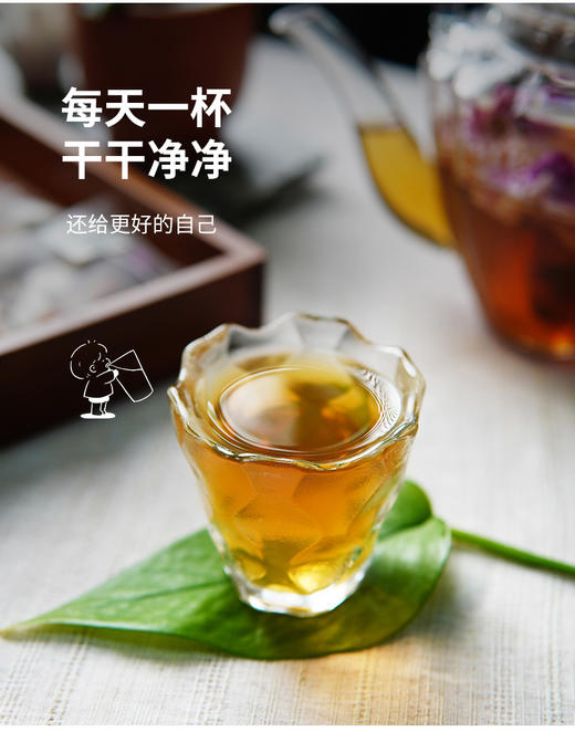 蒲公英茯苓饮 商品图1