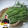 生态韭菜（河南）| 合作生产*​Ecological Chinese chives| Partner Production 商品缩略图0
