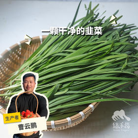 生态韭菜（河南）| 合作生产*​Ecological Chinese chives| Partner Production