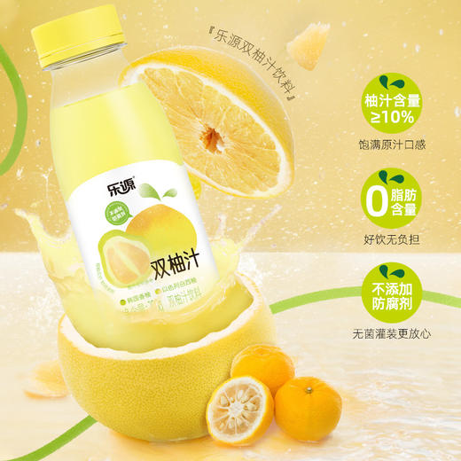 乐源 双柚汁280g*8瓶 果汁饮料 商品图1