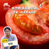 生态西红柿（广州） | 合作生产*Ecological Tomato | Partner Production 商品缩略图0