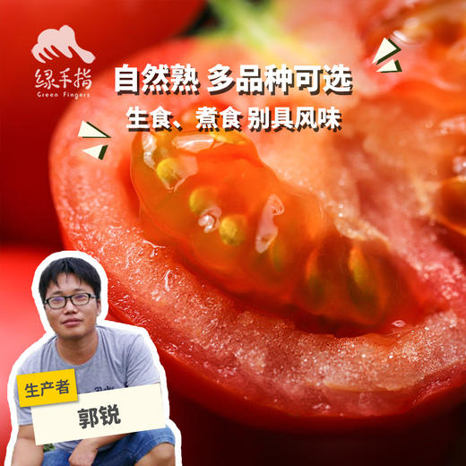 生态西红柿（广州） | 合作生产*Ecological Tomato | Partner Production 商品图0