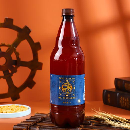 帕丁堡海丝启航精酿1L*6瓶装（PET瓶装） 商品图2