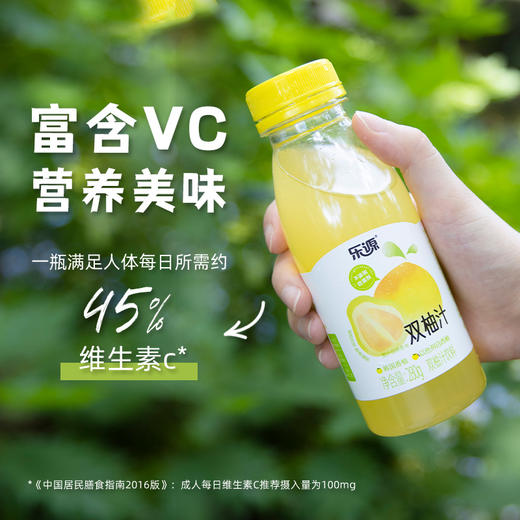 乐源 双柚汁280g*8瓶 果汁饮料 商品图0