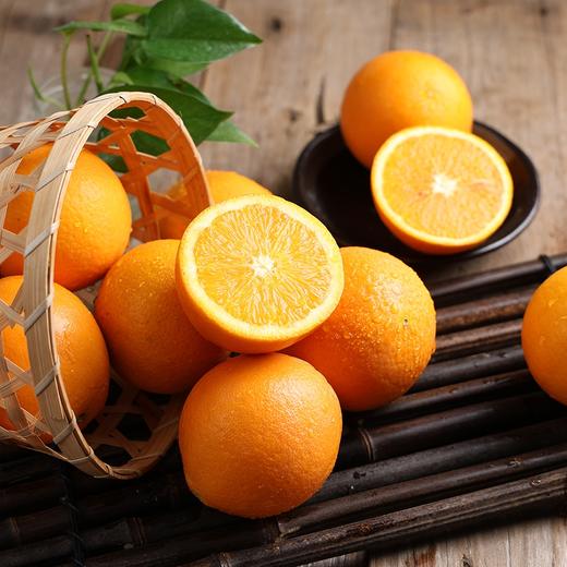 湖北秭归伦晚橙礼盒4.5kg 商品图5