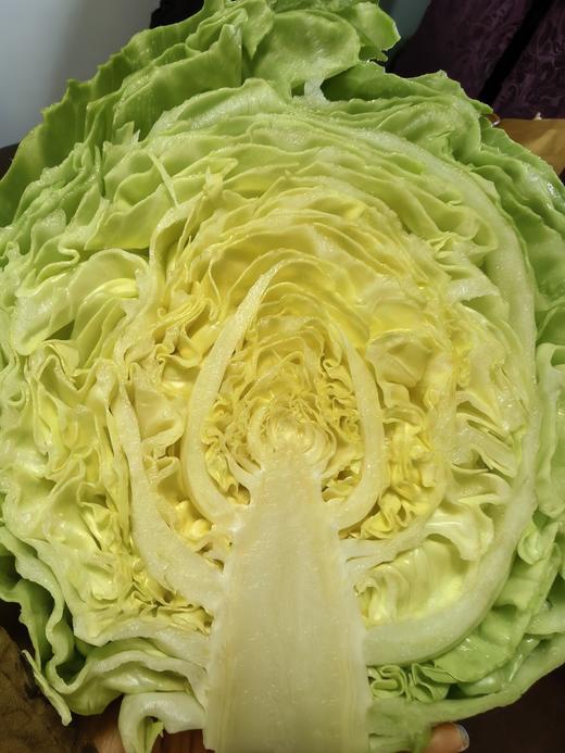 有机蔬菜包，水果甘蓝/圆生菜/大娃娃菜/莴笋 商品图1