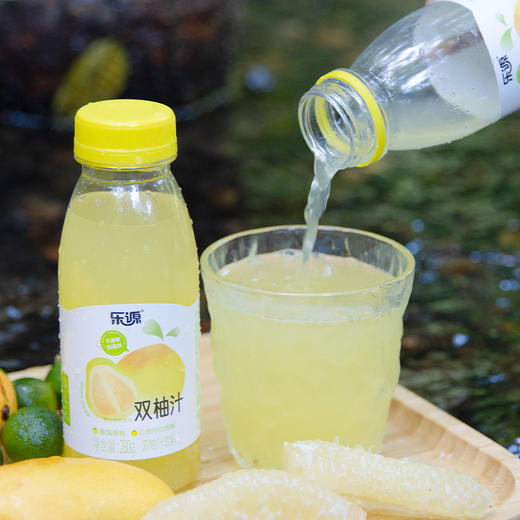 乐源 双柚汁280g*8瓶 果汁饮料 商品图4
