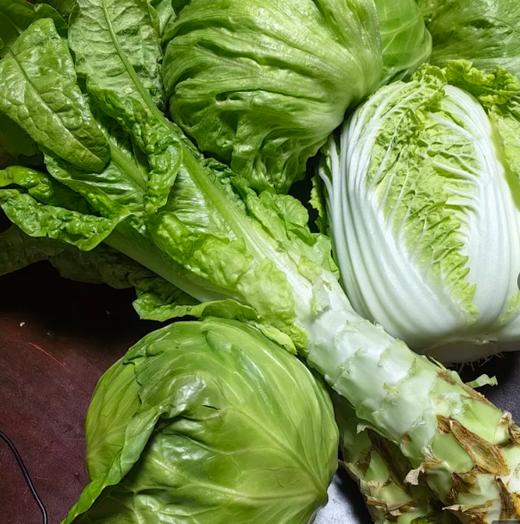 有机蔬菜包，水果甘蓝/圆生菜/大娃娃菜/莴笋 商品图0