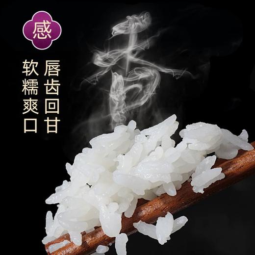 富硒丝苗米  2.5kg 商品图3
