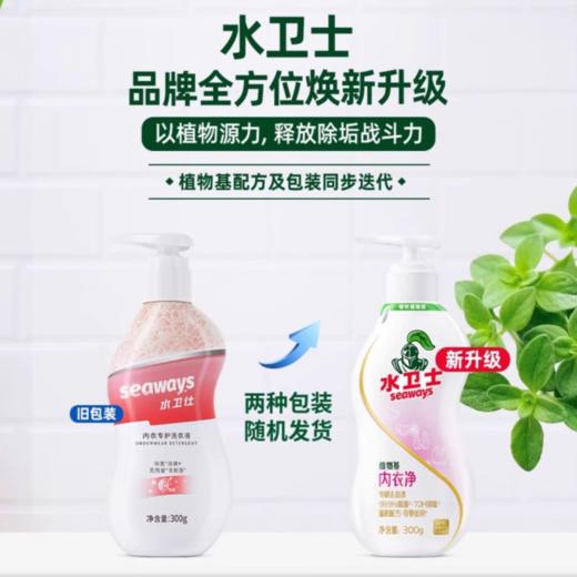 DH 水卫士内衣洗衣液 300g 商品图2