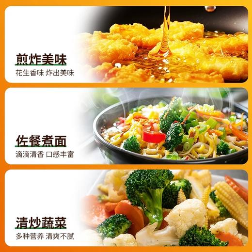 花生油（压榨一级） 2.5L 商品图2