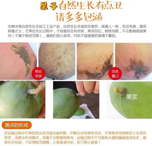 海南三亚红玉芒 商品图5