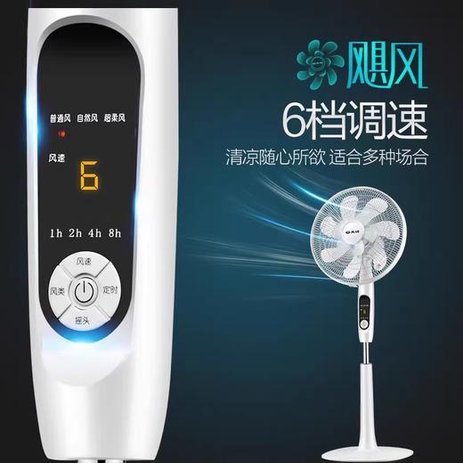 先锋落地扇FS40-16ER(DD1605风扇） 商品图2