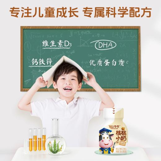 轻上 牛牛核桃小奶138ml*15瓶 商品图5