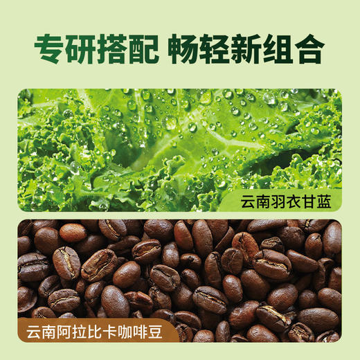 轻上 自律零羽衣甘蓝黑咖245ml*10瓶 商品图1