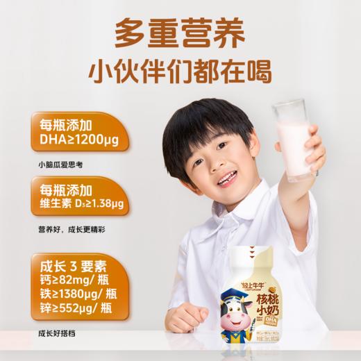 轻上 牛牛核桃小奶138ml*15瓶 商品图3