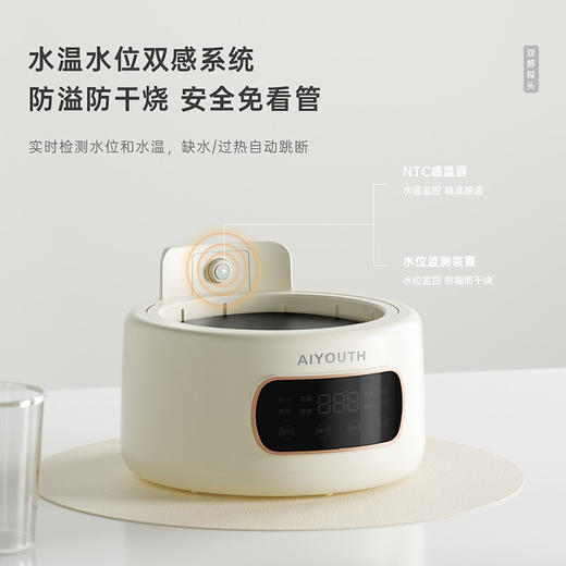 艾青春全玻璃养生壶  AI-YSH336 商品图6