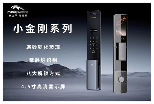 穿山甲小金刚3号指纹锁【KM】 商品图0