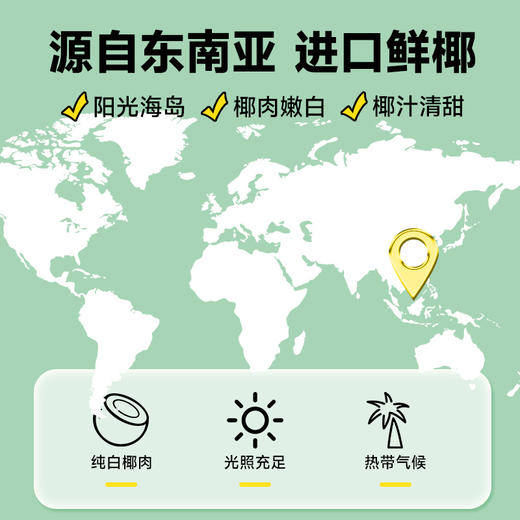 轻上 0糖生椰220ml*10瓶 商品图2