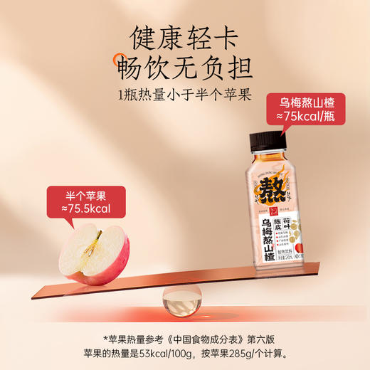 轻上 东方补者乌梅熬山楂245ml*10瓶 商品图4