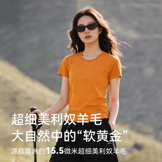 灰壳美利奴羊毛速干衣女户外徒步登山排汗透气短袖美丽诺运动T恤 商品图1