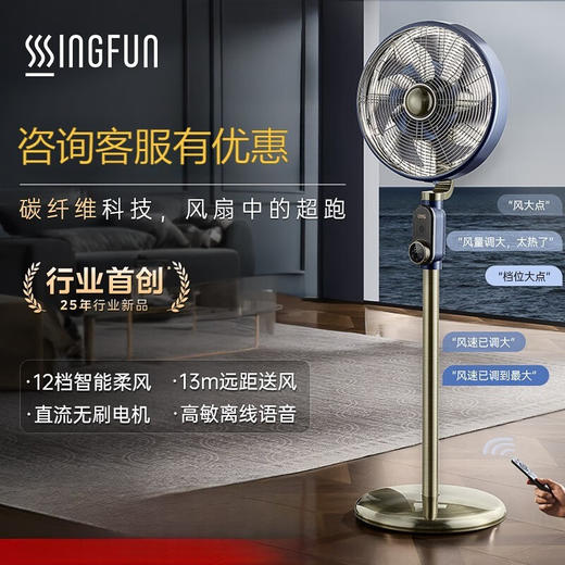 先锋复古扇DLD-M9（DD2506R） 商品图0