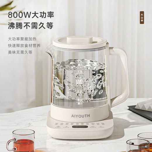 艾青春养生壶  AI-YSH518 商品图3