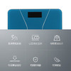 西屋（Westinghouse）体重秤T101 商品缩略图1
