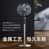 先锋复古扇DLD-M9（DD2506R） 商品缩略图2