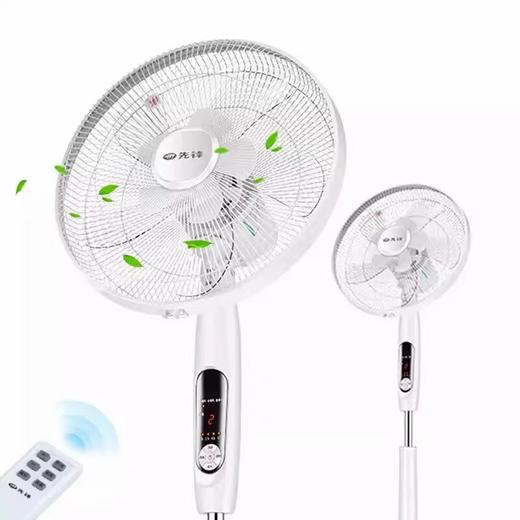 先锋落地扇FS40-16ER(DD1605风扇） 商品图1