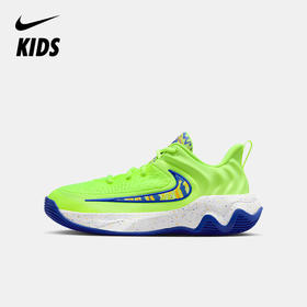 Nike Giannis Immortality 4 SE 耐克字母哥大童篮球鞋 IQ0818