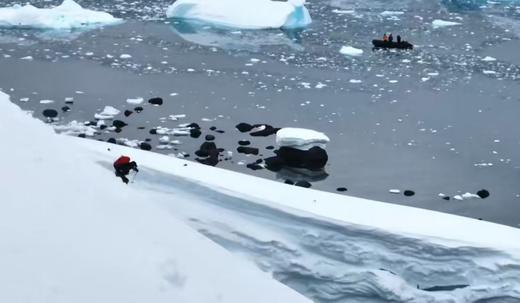2027.1.08-1.19 Antarctica Expedition  南极半岛 · 极地探险之旅 商品图5