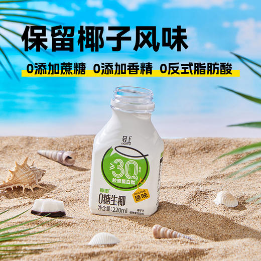 轻上 0糖生椰220ml*10瓶 商品图1
