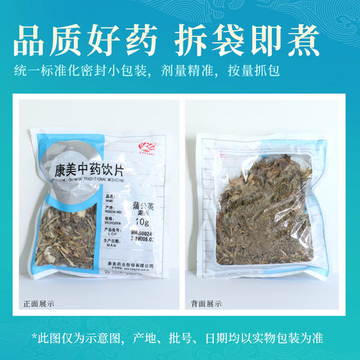 蒲公英/华花郎 药食同源康美中药饮片 独立小包装10g起 商品图5