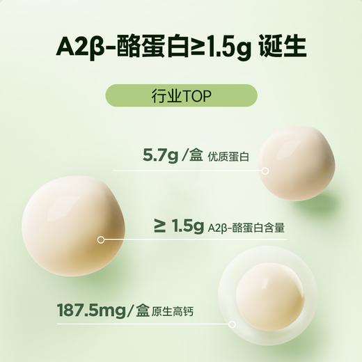 【分销】【秋田】A2β酪蛋白纯牛奶150ml*10盒装，多规格自选 商品图5
