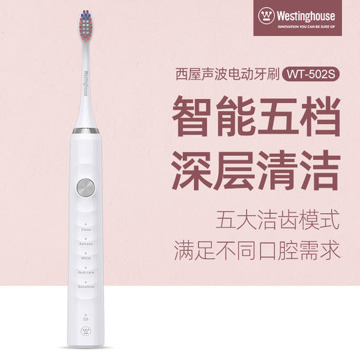 西屋（Westinghouse）电动牙刷WT-502S 商品图0