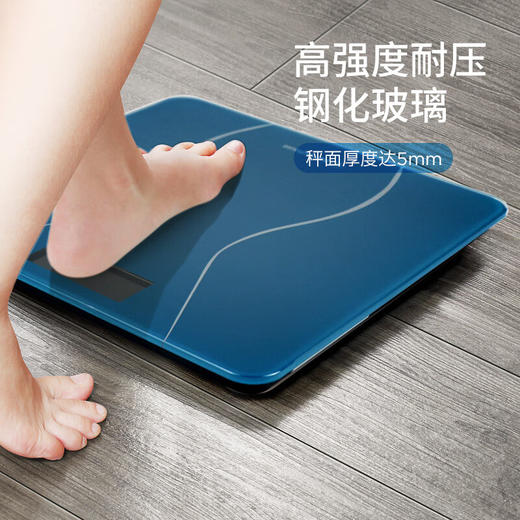 西屋（Westinghouse）体重秤T101 商品图0