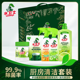DH 水卫士厨房套装（油污净-带喷头1瓶+洗洁精1瓶-带喷头+多功能清洁剂-带喷头1瓶+水垢净1瓶 咖啡茶垢净1袋+中号礼盒1个）