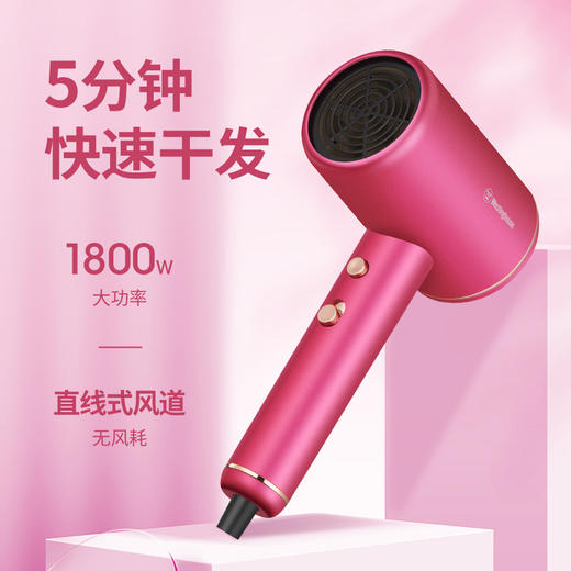 西屋（Westinghouse）负离子电吹风机H106 商品图1