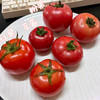 生态西红柿（广州） | 合作生产*Ecological Tomato | Partner Production 商品缩略图3