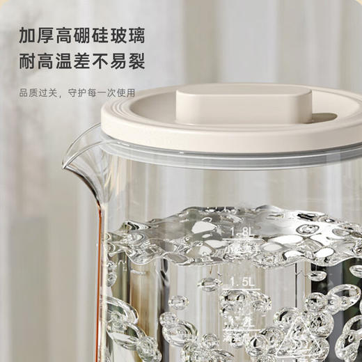 艾青春养生壶  AI-YSH518 商品图6
