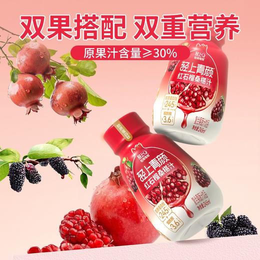 轻上 红石榴桑葚汁 245ml*10瓶 商品图1