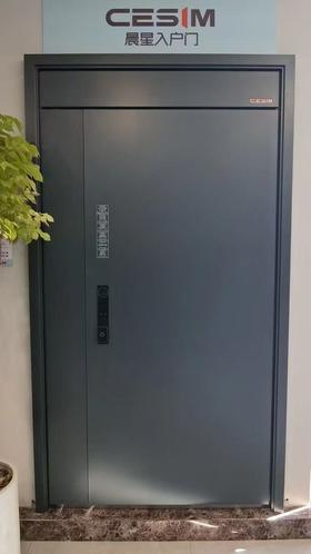 晨星-雅纹 2050*1160防盗门【KM】