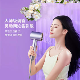 西屋（Westinghouse）电吹风机HS500