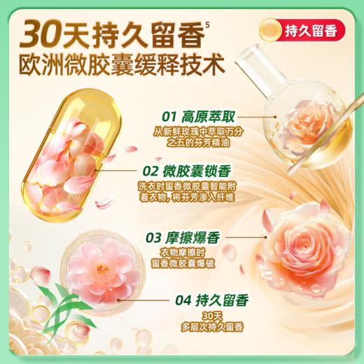 DH 水卫士植物基闪电洗衣凝珠(三腔闪电) 8g*26颗 商品图5