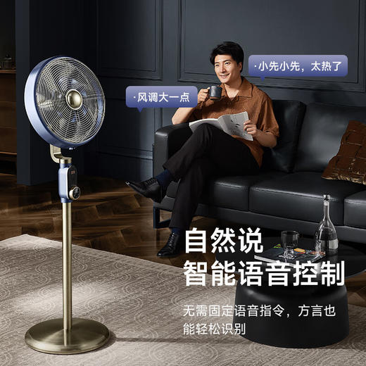 先锋复古扇DLD-M9（DD2506R） 商品图3